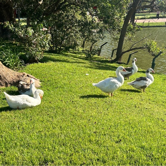 Meet your Posher, Sandy - Picture 2 of 2